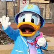 DONADONAの画像