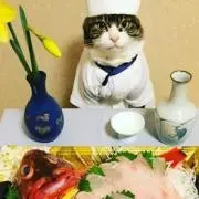 こんどうゆうき