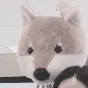 ハニの画像
