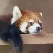mahiroの画像