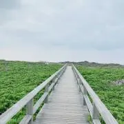 snoop-aの画像