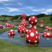 えのんの画像