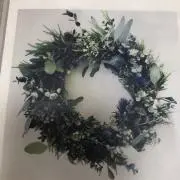 manulの画像