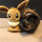 もるママ(⁠◕⁠ᴗ⁠◕⁠✿⁠)の画像