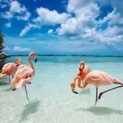 pink ★廃盤コスメ香水あります★の画像