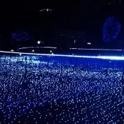 まちゃの画像
