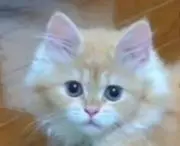 HIROの画像