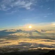 りんりんらんらんの画像