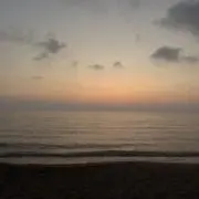wnの画像