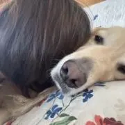 がむ