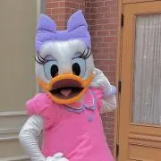 たらこの画像