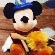 ぽんの画像