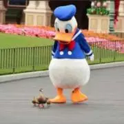ぴょん
