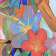 ｓａｋｕｓａ❀お値下げプロフの画像