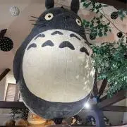 yasの画像