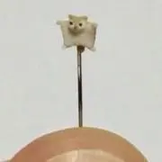 まるっ!の画像