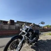 ベポトトロの画像