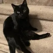24の画像