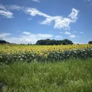 fuji_roomの画像