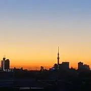 Emeraldの画像