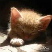 激レア？ハローキティぬいぐるみ10体セット非売品セブンイレブン