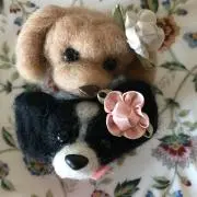 ヒロメルの画像