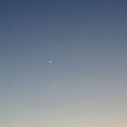 きゅうり.の画像