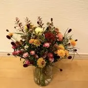 autumnの画像