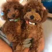 happy2の画像