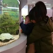 もみまま
