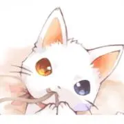 AYA☆の画像