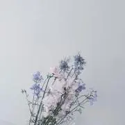 2026年7月15日まで発送できませんの画像