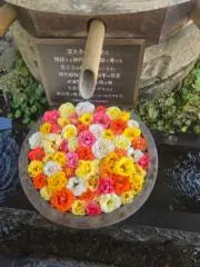 OZZYの画像