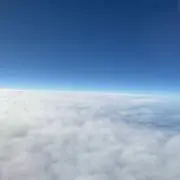 わさび