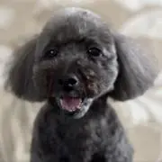 みなっち