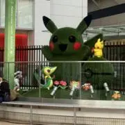 ころころの画像