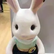 あみの画像