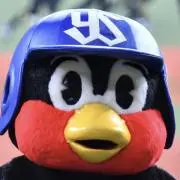 ぺんぎんVの画像
