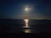 ぅすしぉ☆日〜水は翌日発送詳細はプロフでの画像