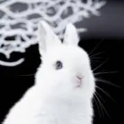 yukiusagiの画像