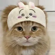 むぎまる(プロフ必読)の画像