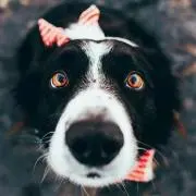Me*の画像