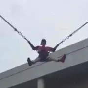 たかりきや♀の画像