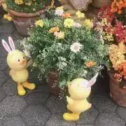Miiの画像