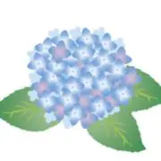 nanamiの画像