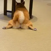 ブライアン