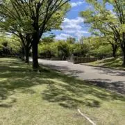 haの画像