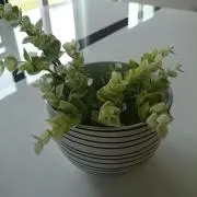 年中断捨離の画像