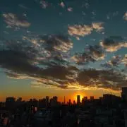 towaoの画像