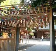 りんりん本店の画像